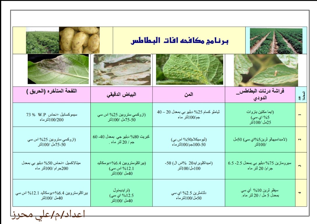 مكافحة افات البطاطس